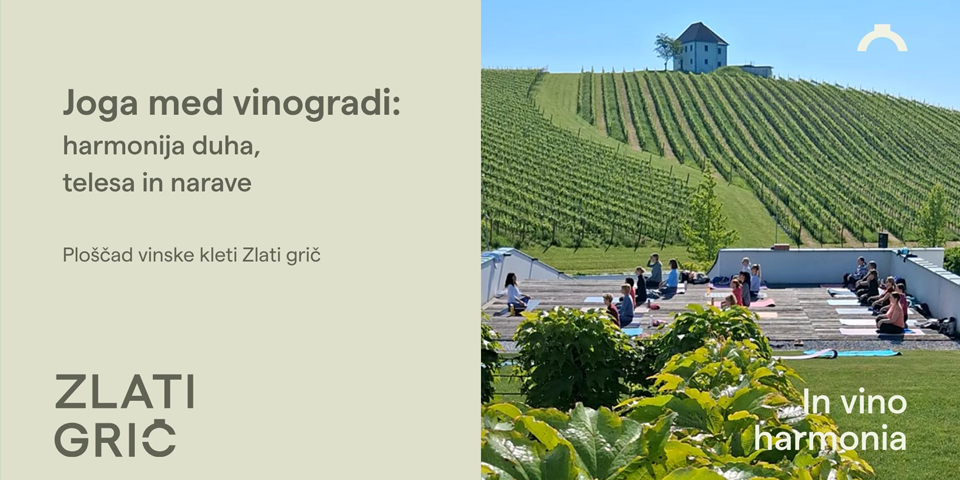Joga med vinogradi Joga med vinogradi